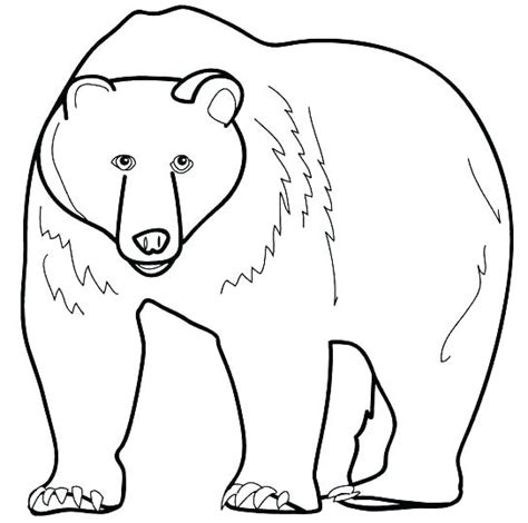 Free printable book activity for toddlers to go along with eric carle's brown bear book. Sleeping Bear Coloring Page at GetColorings.com | Free ...