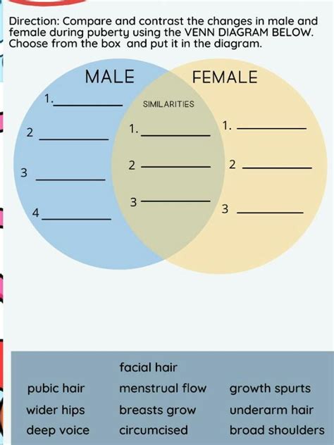 Direction Compare And Contrast The Changes In Male And Female During
