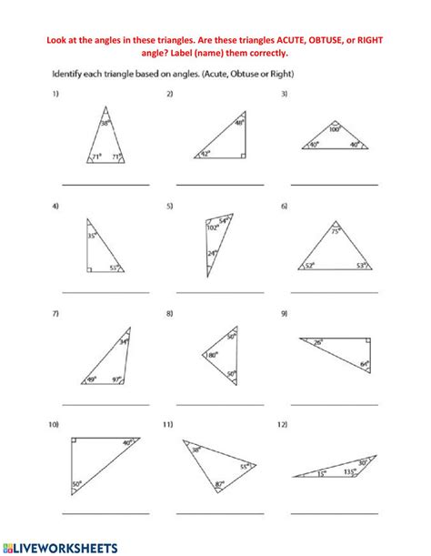 Classifying Triangles By Angles Worksheets