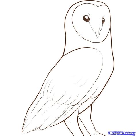 Simple Small Owl Drawing Resenhas De Livros