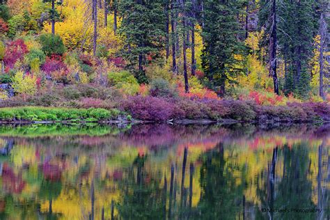 Fall Colors In Tumwater Canyon Wa Digital Art By Michael Lee Fine