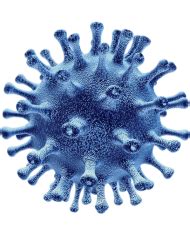 Coronavirus Covid 19 PNG Image With Transparent Background TOPpng
