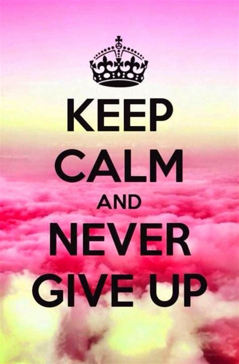 Never Give Up Keep On Trying And Then You Will Succeed Keep Calm