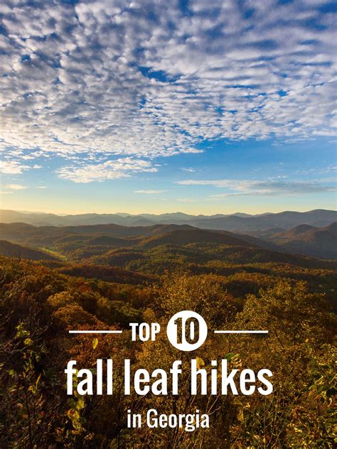 Best Fall Foliage Hikes In North Georgia Our Top 10 Favorite Trails