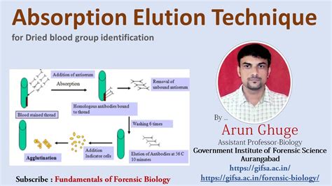 Absorption Elution Technique For Dried Blood Group Identification Youtube