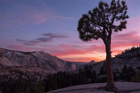 Sunset Over Yosemite Valley Seen From Olmsted Point Yosemite National