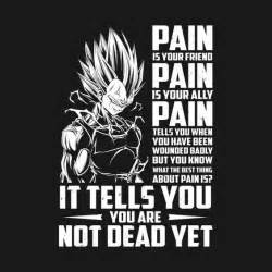 Maybe you would like to learn more about one of these? 304 best All That Saiyan Pride images on Pinterest ...