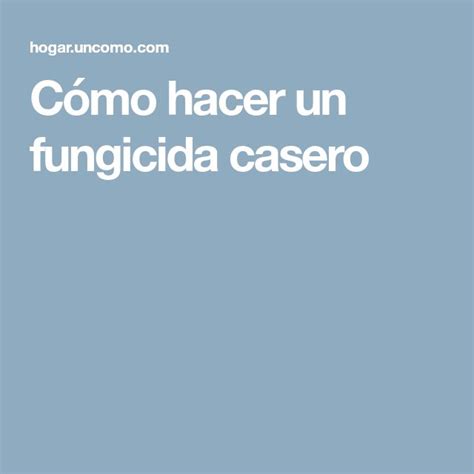 C Mo Hacer Un Fungicida Casero Casero Fungicidas Caseros Pulgon