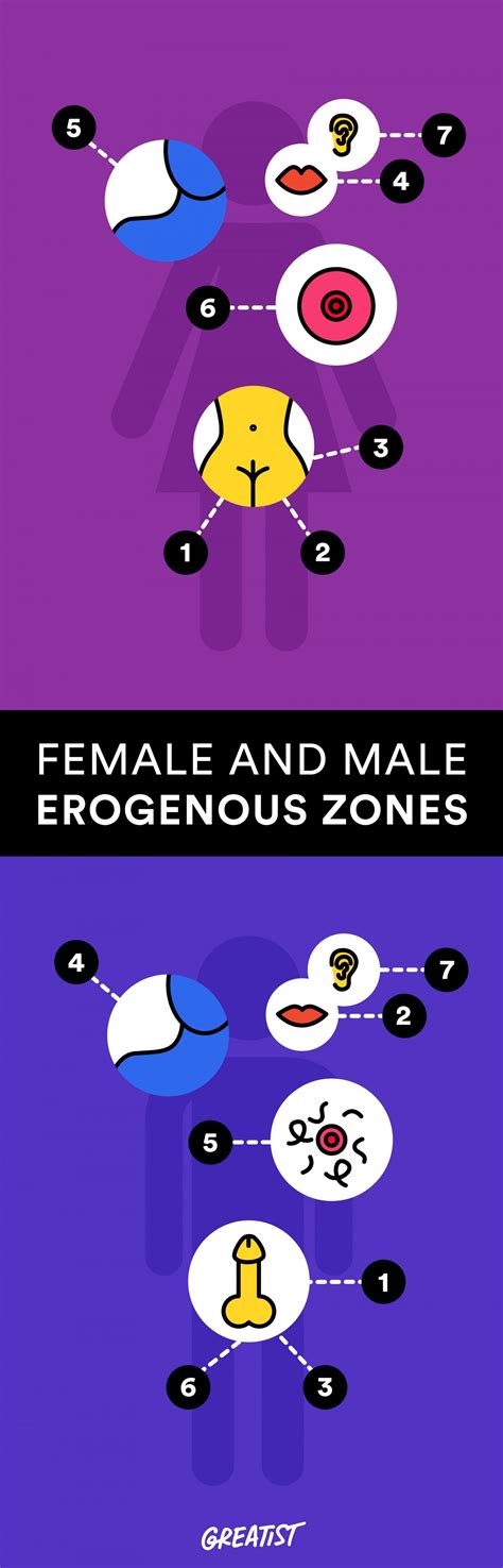 Female Erogenous Zone Game Hot Sex Picture