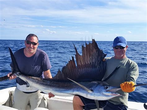 Catch Release Sailfish Fishing Ocean Ridge Florida Feb2017 Blue Devil