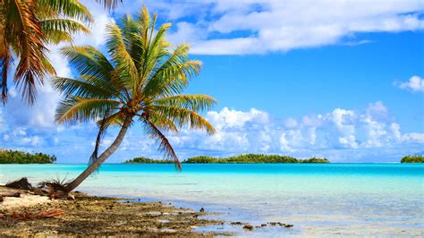 Beaches And Reefs Of French Polynesia Jacada Travel