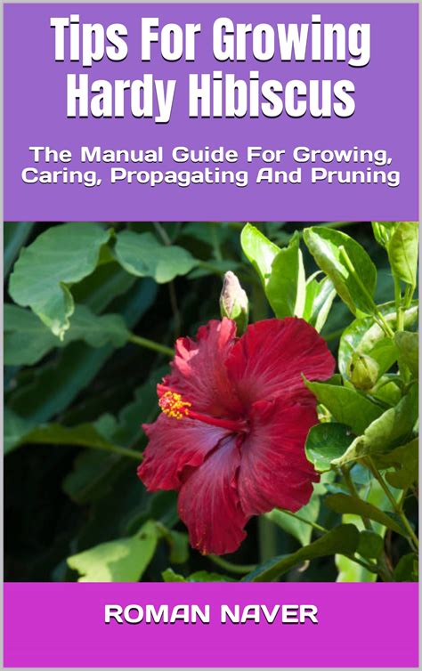 Tips For Growing Hardy Hibiscus The Manual Guide For Growing Caring