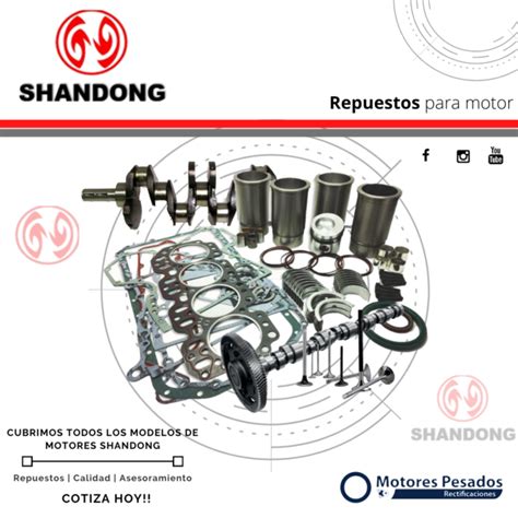 Shandong Repuestos Motor