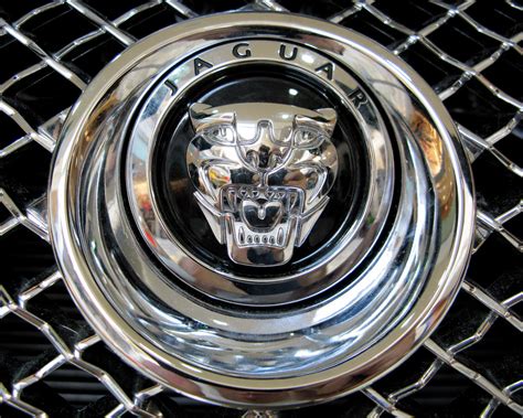 Check spelling or type a new query. Everything About All Logos: Jaguar Logo Pictures