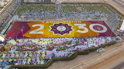 Ofws Again Help Yanbu Regain Guinness Record For Largest Flower Carpet