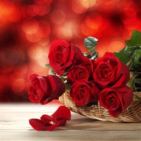 Valentines day flower delivery has long been a tradition between lovers, wives, husbands, girlfriends, and boyfriends. Valentine's Day flowers guide