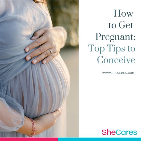 Pin On How To Get Pregnant Tips To Conceive