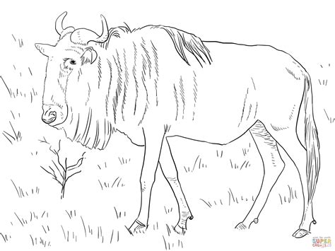 Wildebeest coloring pages, wildebeest coloring page, wildebeests coloring pages, wildebeest coloring book pages, wildebeest color pages. Realistic Blue Wildebeest coloring page | Free Printable ...