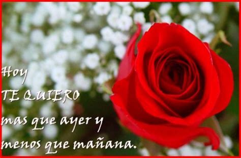 Introducir Imagen Imagenes De Flores Bellas Con Frases