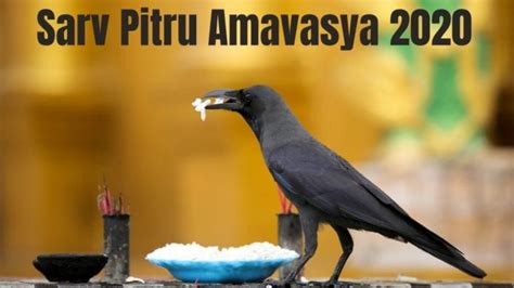 Sarv Pitru Amavasya 2021 Wishes Hd Images Quotes Greetings Photos