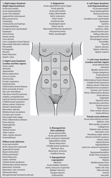 Ulcer Pain Location Diagram