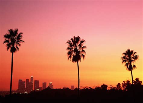 Usa California Los Angeles Skyline And Palm Trees At