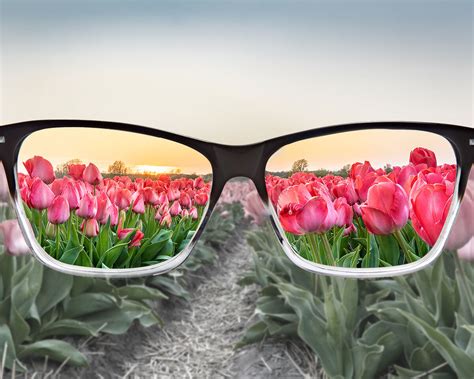 Enchroma Colour Blindness Glasses Solutions For Colour Blinded People