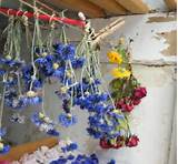 Photos of Dried Flower Crafts