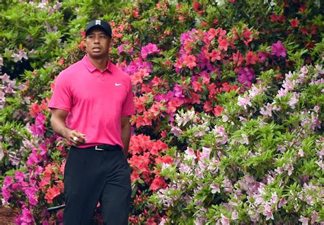 The Return Of Tiger The Masters By The Numbers