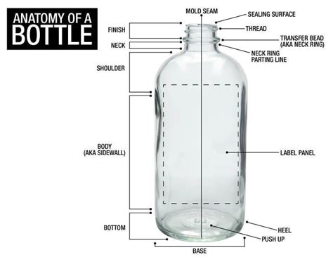 Anatomy Of A Bottle From Top To Bottom Berlin Packaging