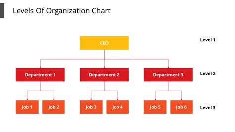 Editable Levels Of Organization Chart Powerpoint Slide