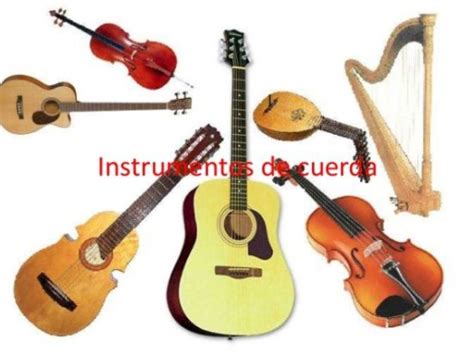 Imágenes De Instrumentos Musicales De Cuerda Viento Percusion Y
