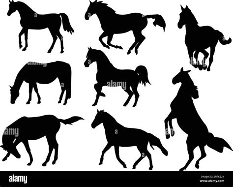 Horses Collection Vector Stock Vector Image And Art Alamy