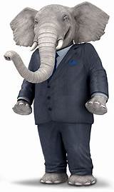 The Elephant Insurance