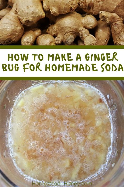 A Ginger Bug Is A Natural Ferment That Can Be Used As A Starter Culture