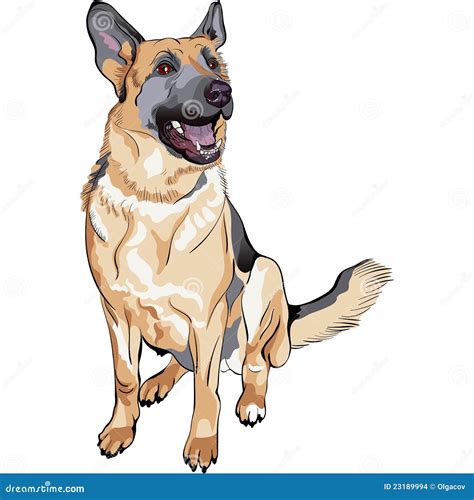Vector Color Sketch Dog German Shepherd Breed Stock Vector