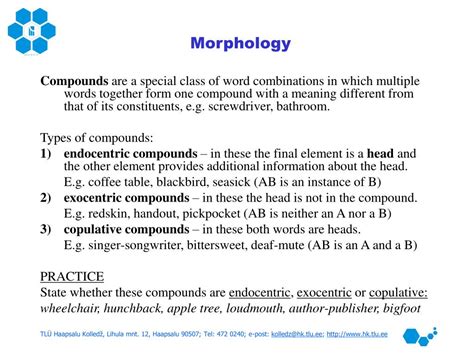 Ppt Basics Of Morphology Powerpoint Presentation Free Download Id