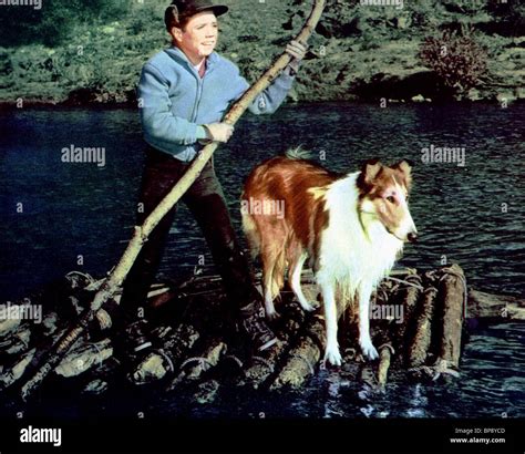 Jon Provost High Resolution Stock Photography And Images Alamy