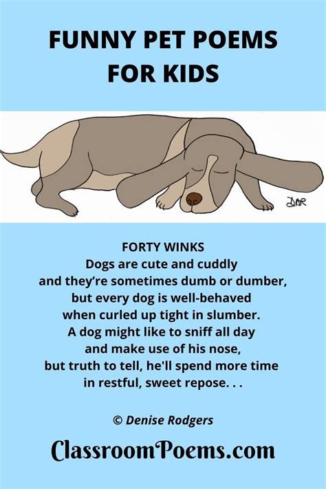 Funny Pet Poems