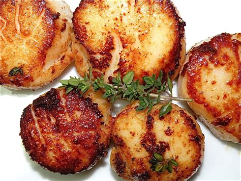 Butter Fried Sea Scallops The Hungry Mouse Recipe Scallop Recipes