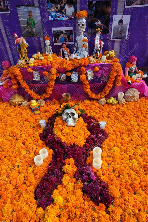 Day Of The Dead Altar Mexico Stock Image C0176604 Science Photo