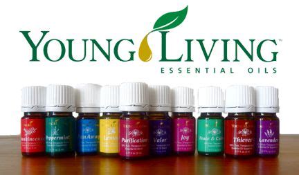 The young living business model is similar to a real estate or insurance model young living cbd oil: Young Living Essential Oils | Health Works