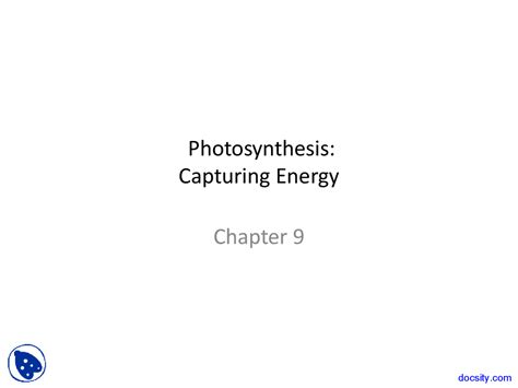 Photosynthesis Biology Lecture Slides Docsity