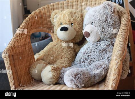 Teddy Bear Sitting On Chair Hi Res Stock Photography And Images Alamy