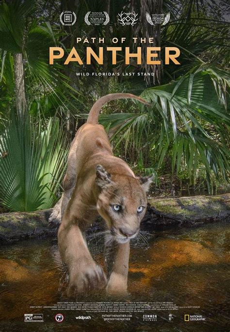 National Geographic Shares Trailer For Path Of The Panther