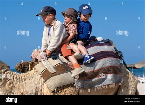 Camel Riding Plage De Sidi Mahres Djerba Tunisia Stock Photo Alamy