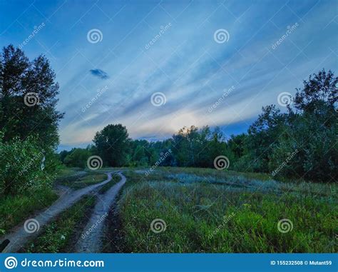 Landscape Photography Country Road With Trees Shrubs And Grass With
