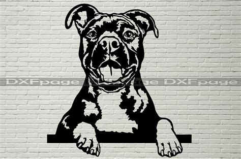 American Staffordshire Terrier Svg Silhouettes Dxf Dog Etsy