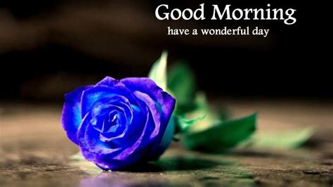 Blue Rose Images Good Morning ~ Rob Lowe Poster Elecrisric