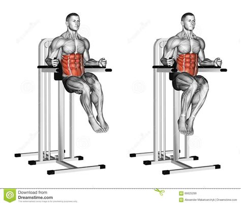 Exercising Oblique Raises On Parallel Bars Stock Illustration Image Sixpack Abs
